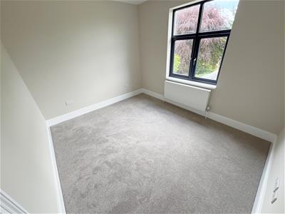 Picture 24